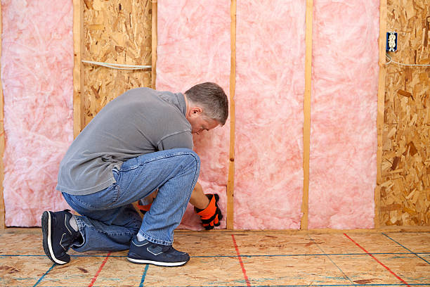 Best Specialized Insulation Services in Rkesburg, PA